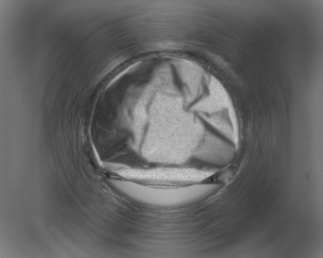 X0000080741209200701121928