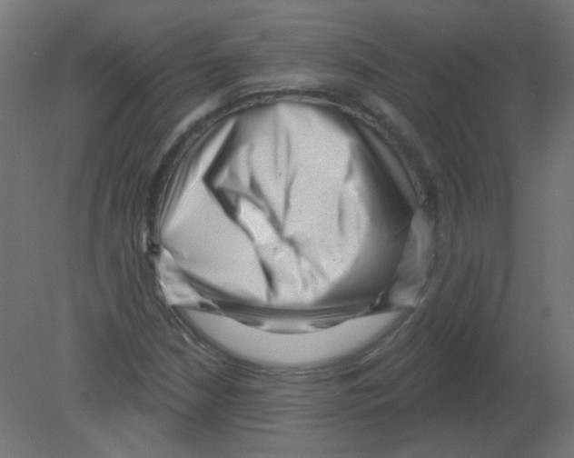 X0000080741210200701121928