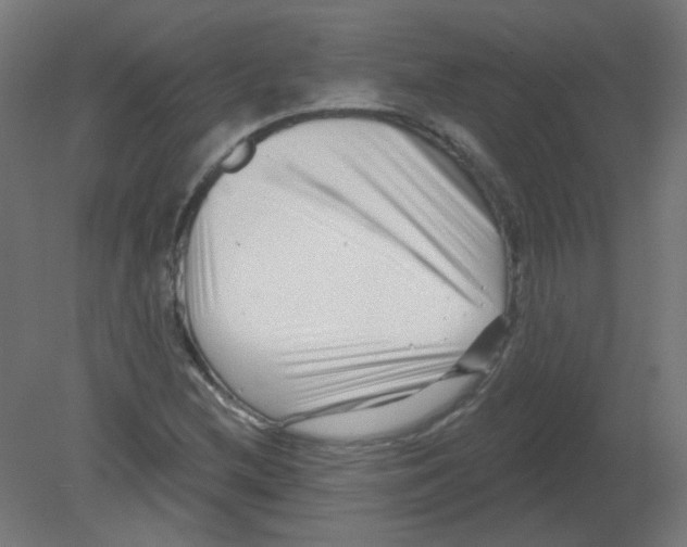 X0000080741212200701121928