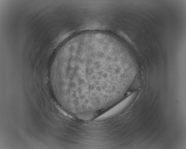 X0000080741213200701121928