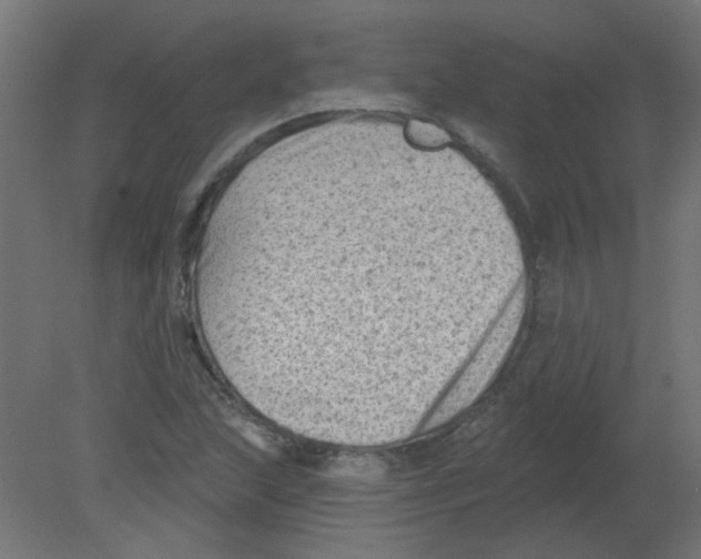 X0000080741215200701121928