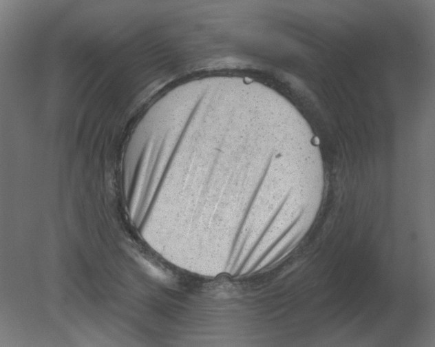 X0000080741217200701121928