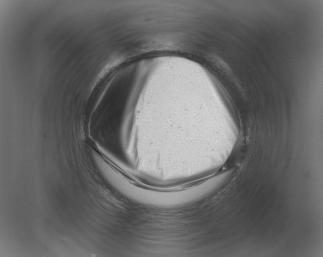 X0000080741218200701121928