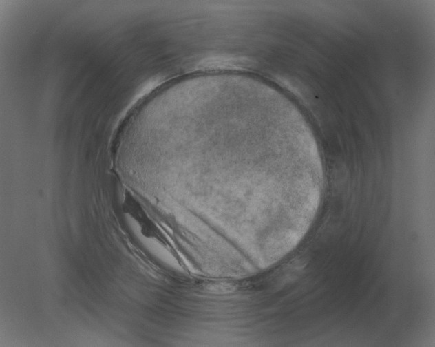 X0000080741219200701121928