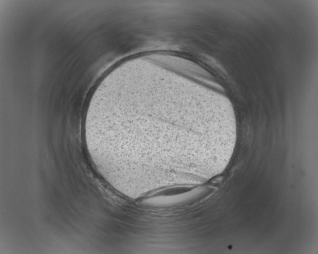 X0000080741220200701121928