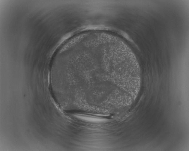 X0000080741221200701121928