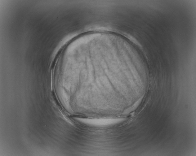 X0000080741223200701121928