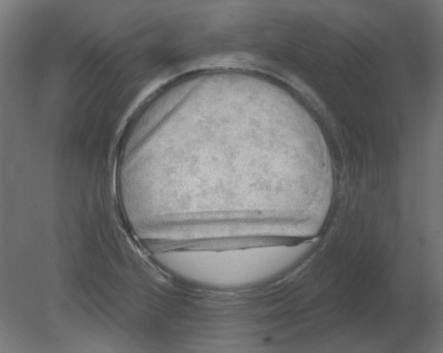 X0000080741224200701121928