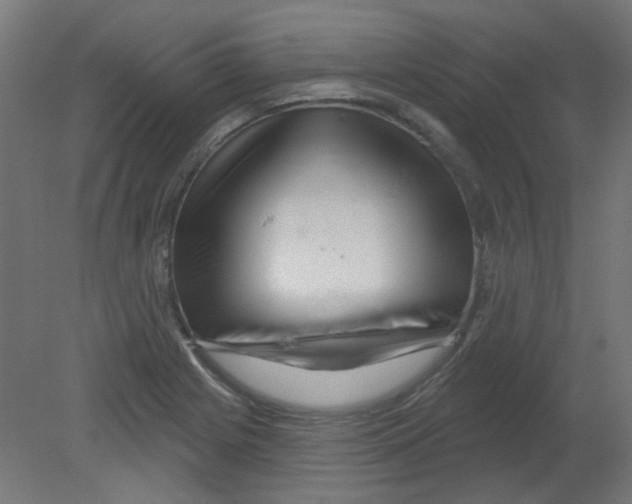 X0000080741225200701121928