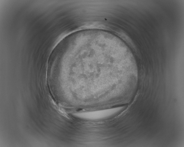 X0000080741228200701121928