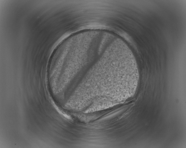 X0000080741229200701121928