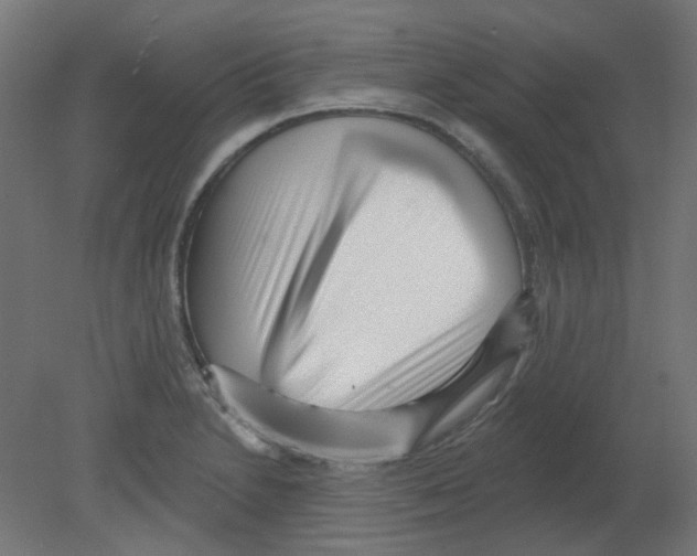 X0000080741230200701121928