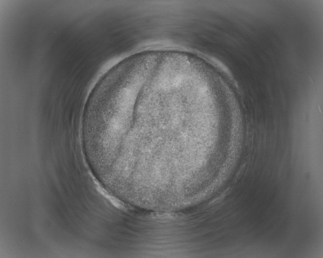 X0000080741231200701121928