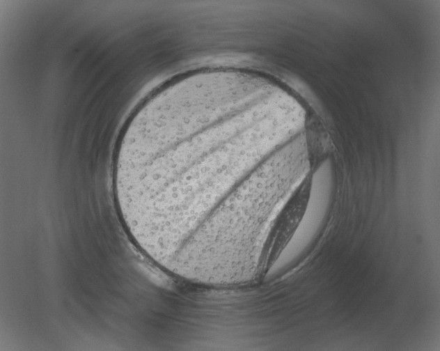 X0000080741232200701121928