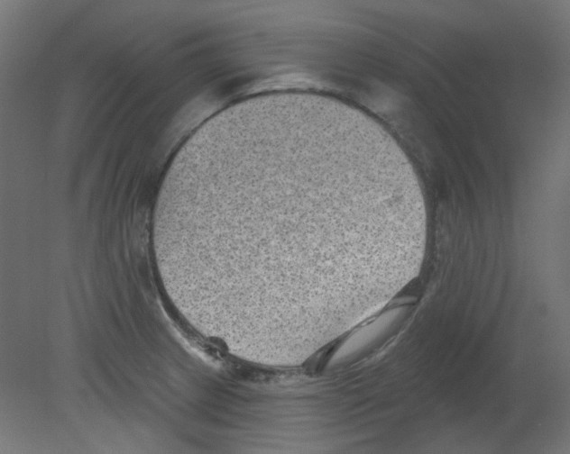 X0000080741233200701121928