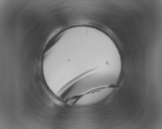 X0000080741234200701121928