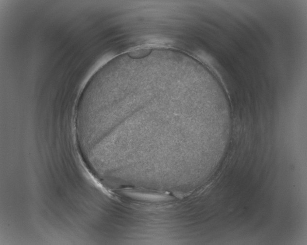 X0000080741235200701121928