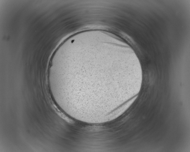 X0000080741236200701121928