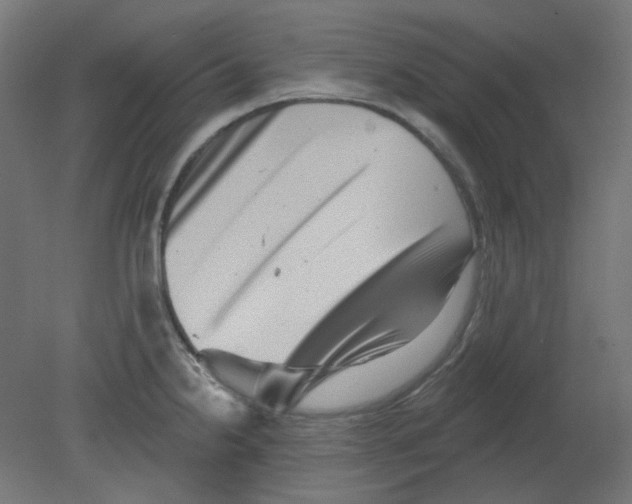 X0000080741238200701121928