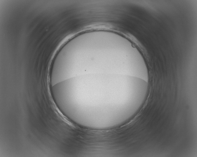 X0000080741240200701121928