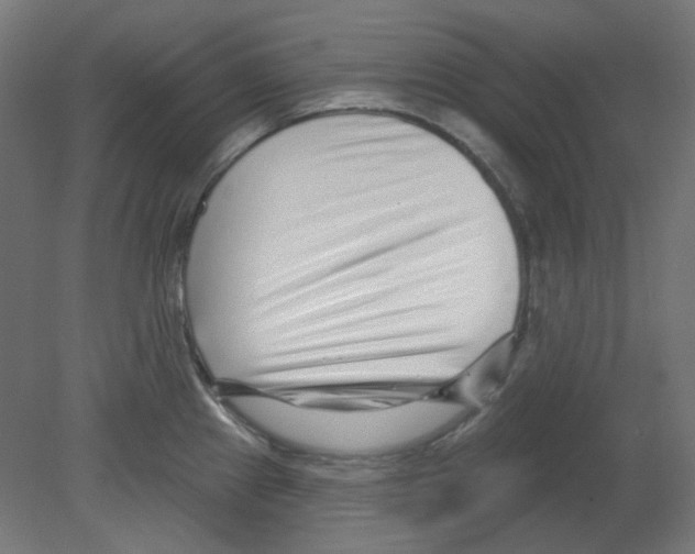 X0000080741241200701121928