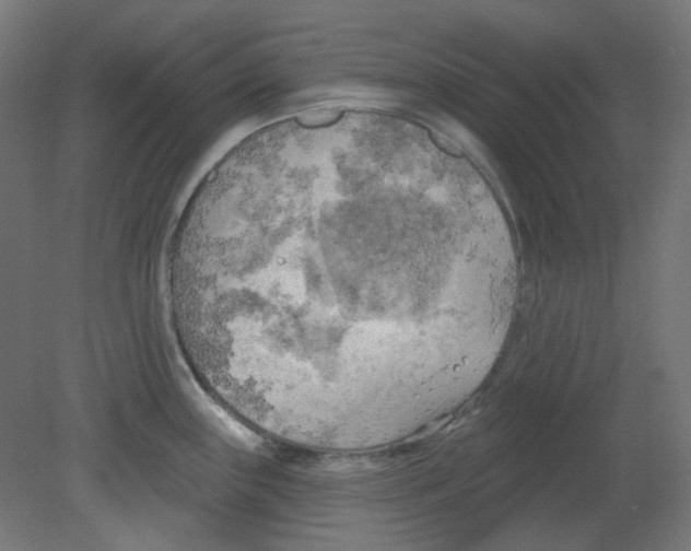 X0000080741243200701121928