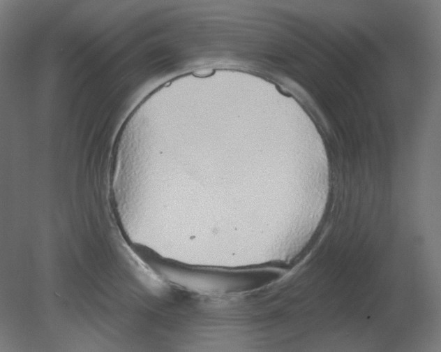 X0000080741244200701121928