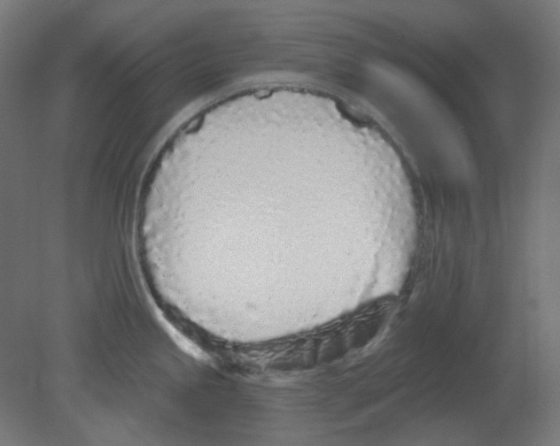 X0000080741245200701121928