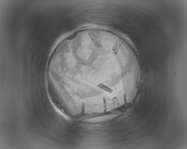 X0000080741247200701121928