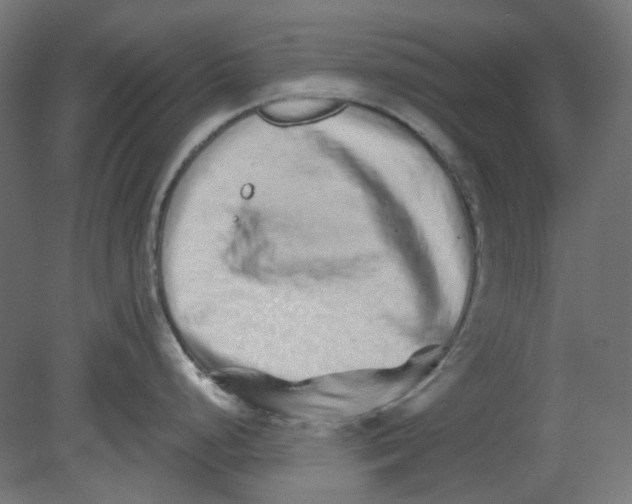 X0000080741248200701121928