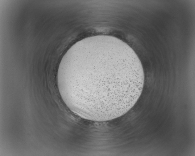 X0000080741249200701121927