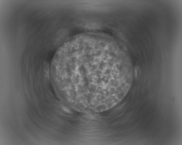 X0000080741251200701121927