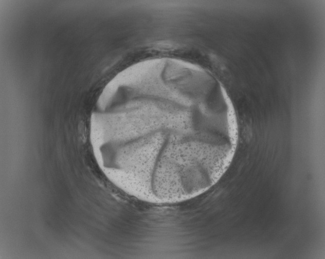 X0000080741253200701121927