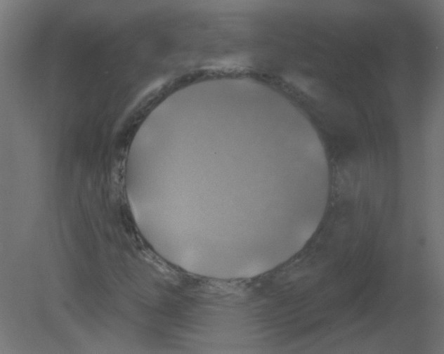 X0000080741254200701121927