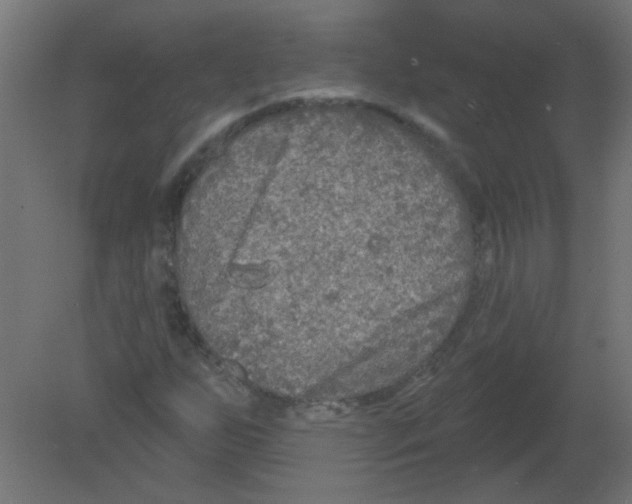 X0000080741255200701121927