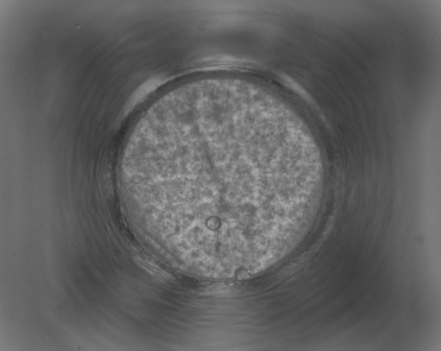 X0000080741259200701121927