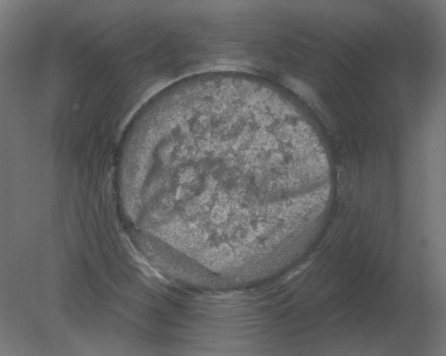 X0000080741260200701121927