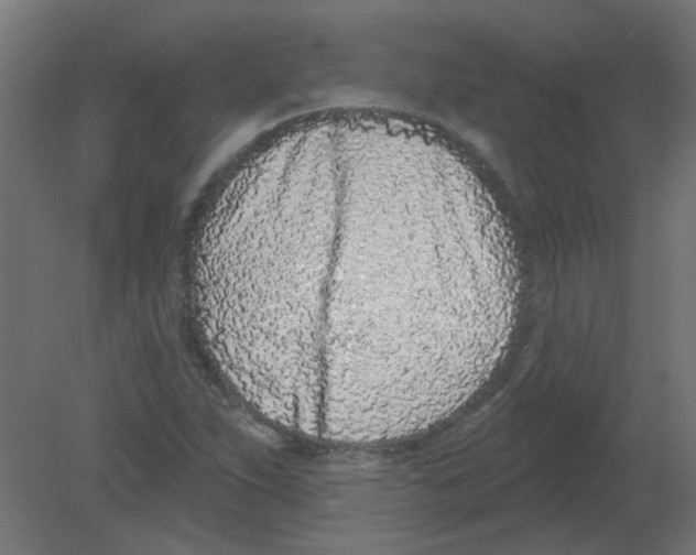 X0000080741263200701121927