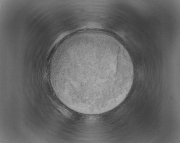 X0000080741266200701121927