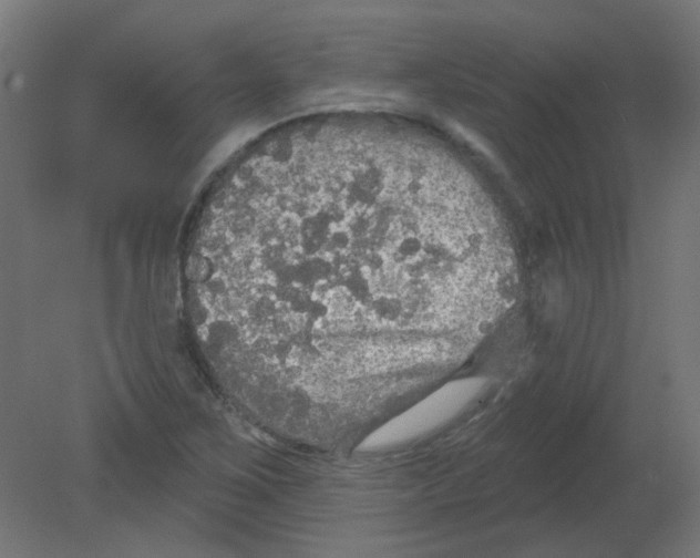 X0000080741267200701121927