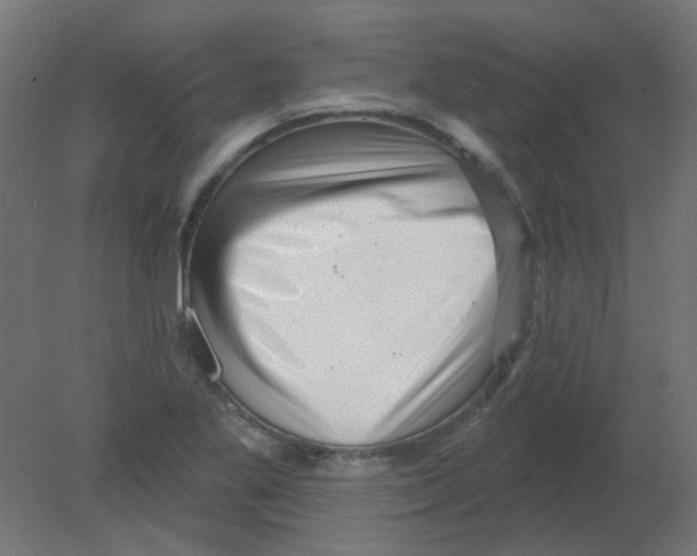 X0000080741269200701121927