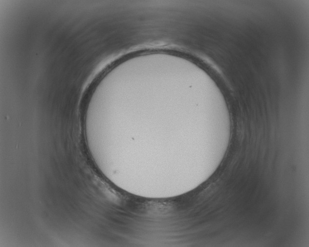 X0000080741270200701121927