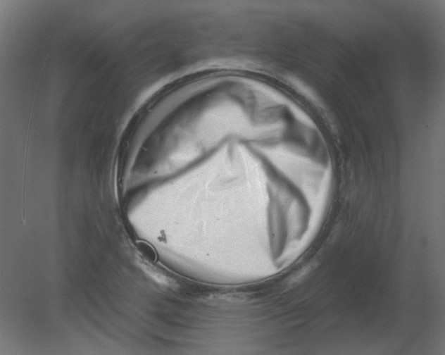 X0000080741272200701121927