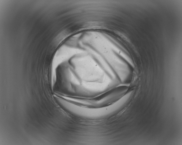 X0000080741273200701121927