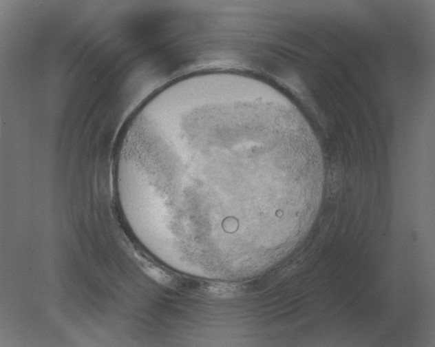 X0000080741274200701121927