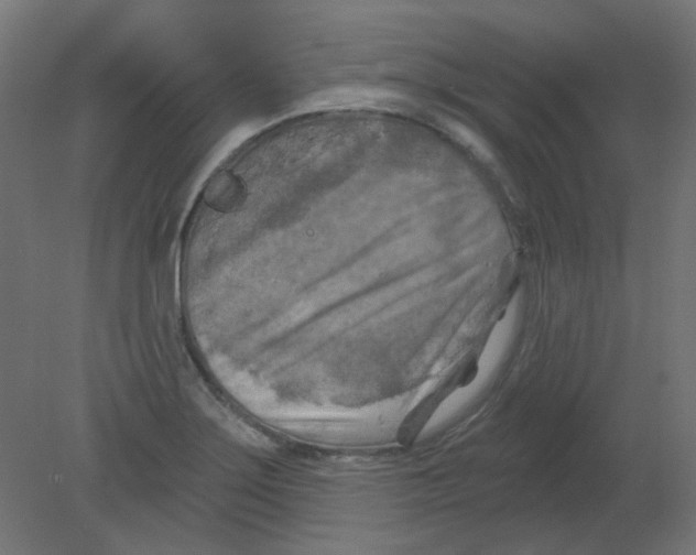 X0000080741275200701121927