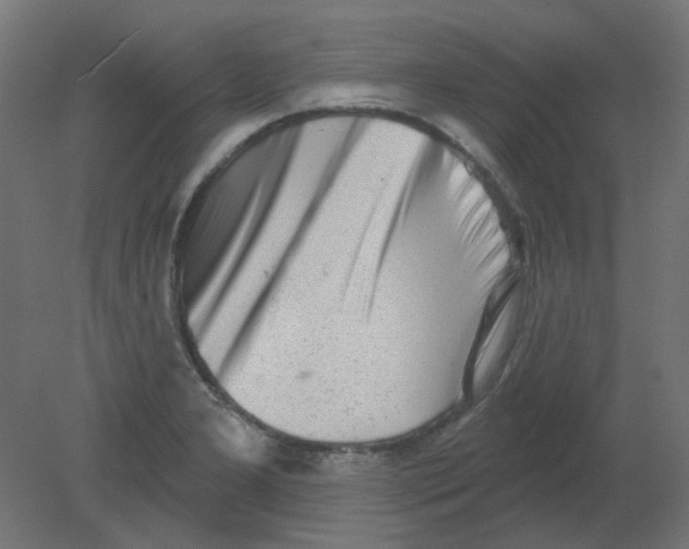 X0000080741277200701121927