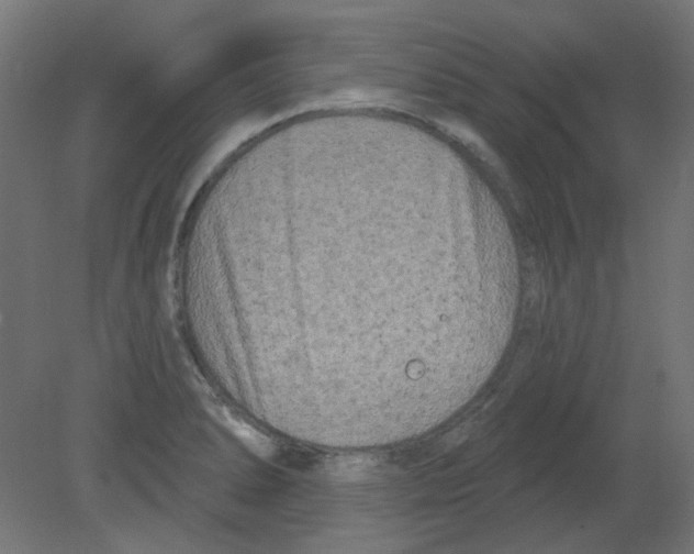 X0000080741278200701121927