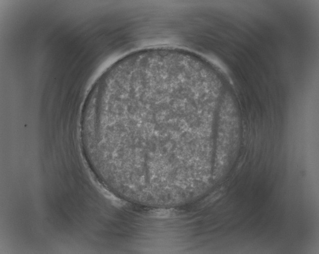 X0000080741279200701121927