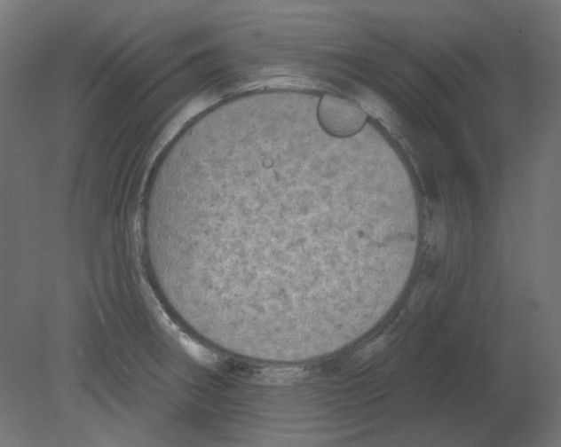 X0000080741282200701121927